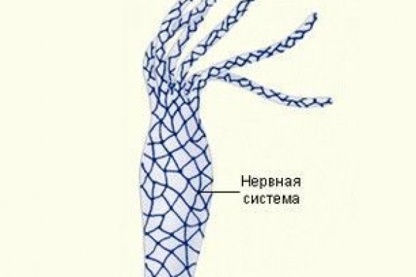 Кракен 2024 сайт