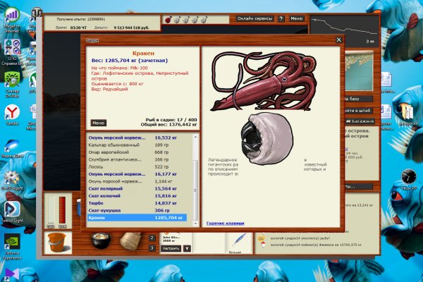 Зеркала тор